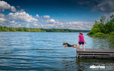 Water Fetch