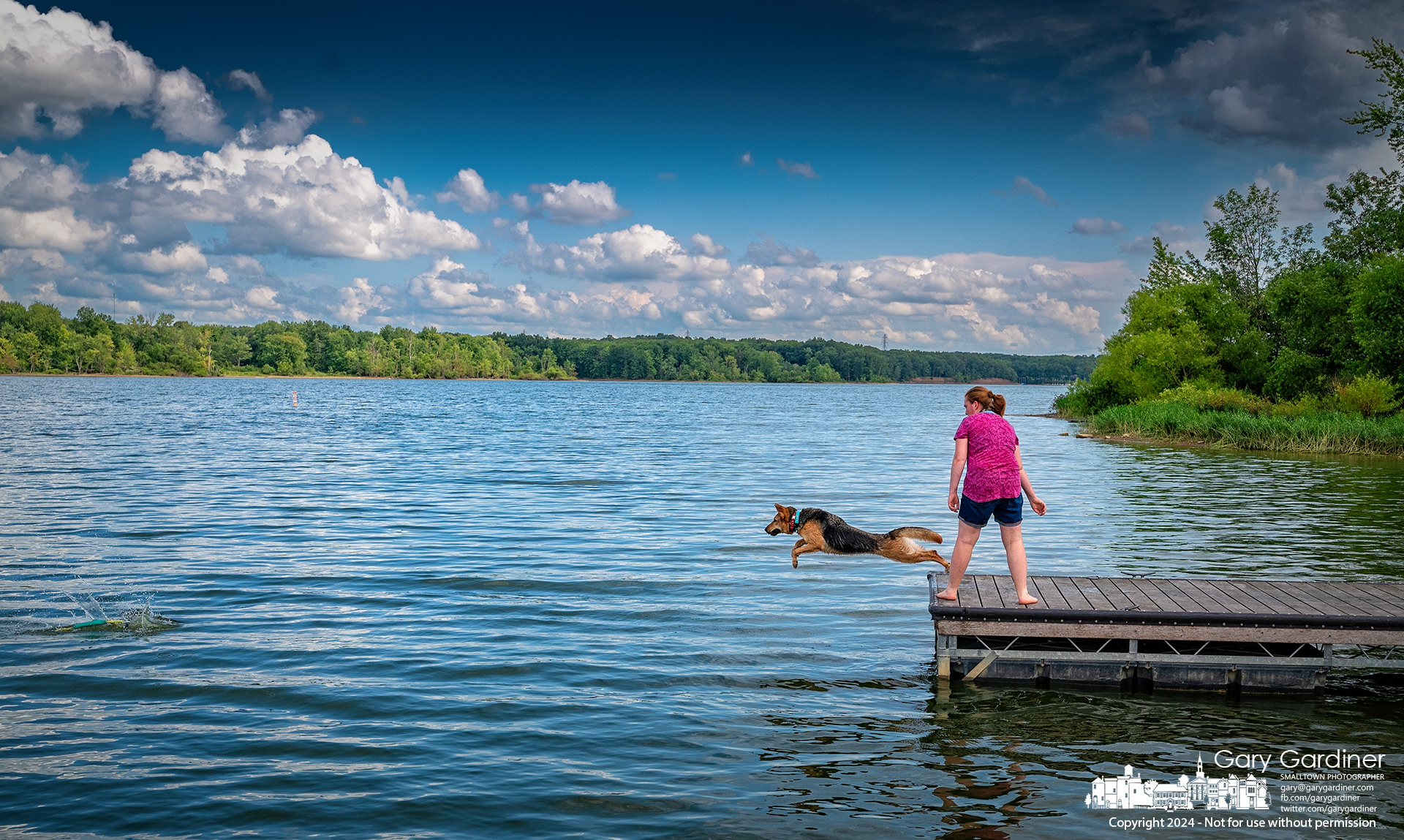 A dog leaps off the dock at Red Bank Marina to retrieve its water toy during a fun training session at Hoover Reservoir Monday afternoon. My Final Photo for July 29, 2024.