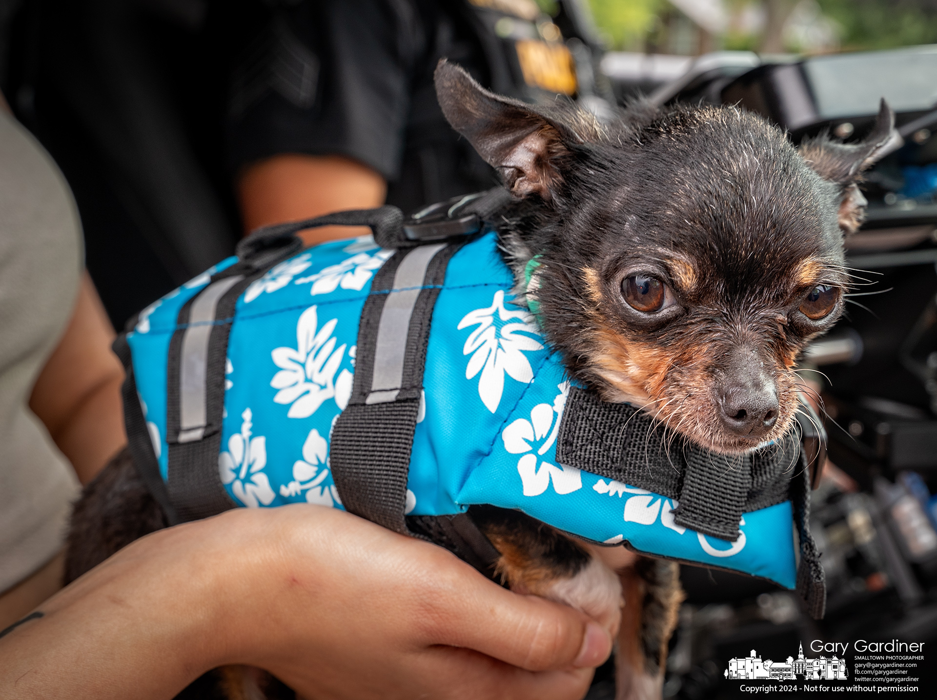 A young puppy wearing its personal flotation device is cradled in its owner's arms after being rescued with its owner and two other kayakers from Hoover Reservoir Sunday afternoon after a severe thunderstorm moved across the lake. My Final Photo for July 14, 2024.