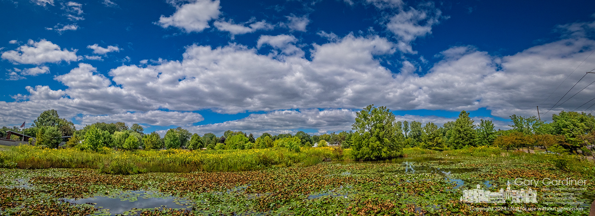 A cool breeze blows clouds over Highlands Park wetlands where summer's growth of water lilies begins to brown and fall's splash of color begins. My Final Photo for August 20, 2024.