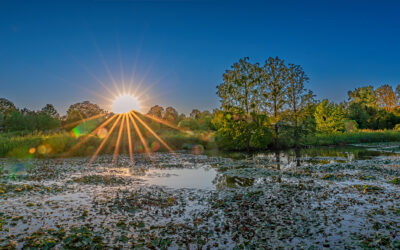 Wetlands Sunset