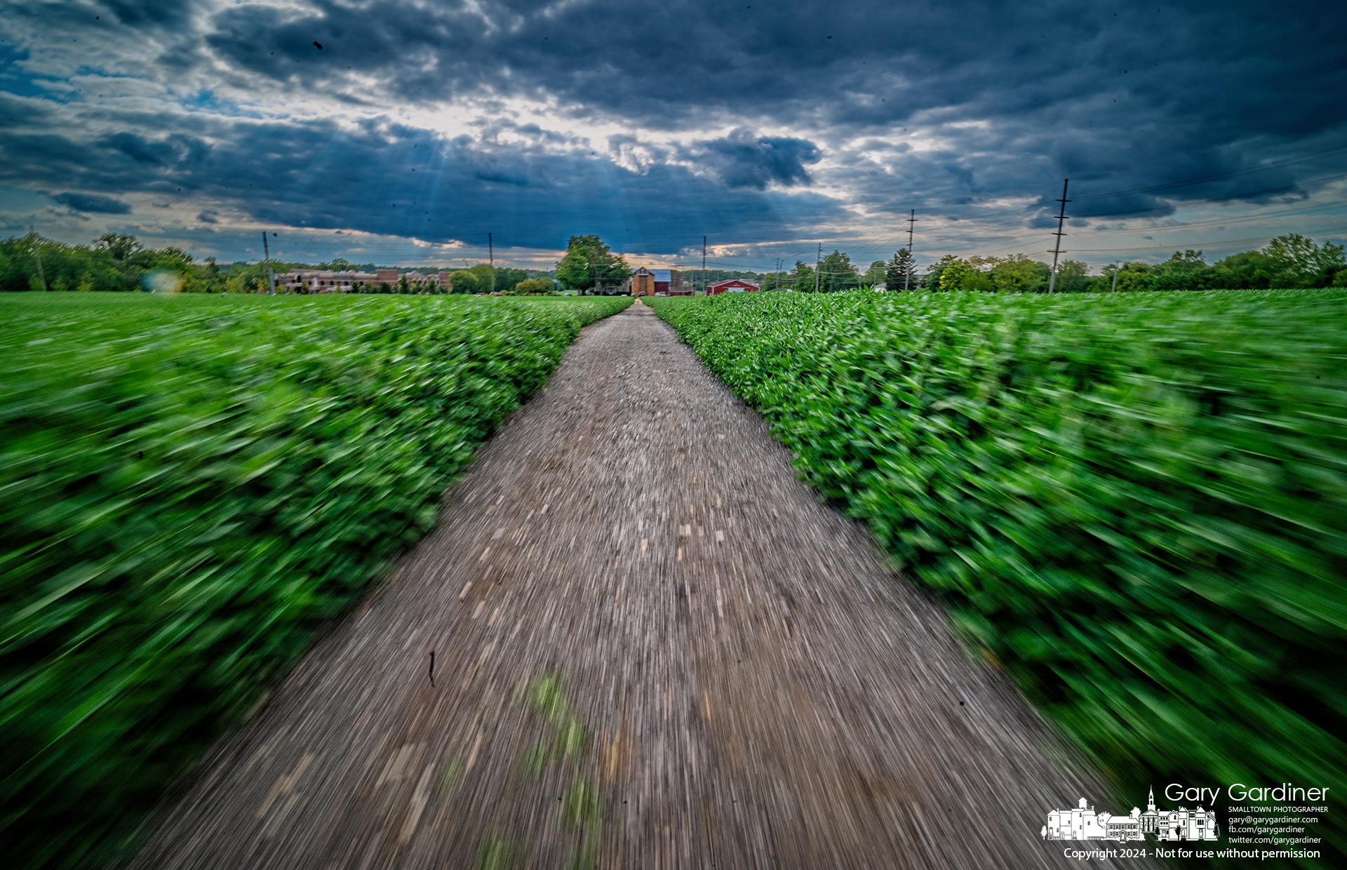 A field of soybeans rushes by on a fast golf cart trip through the Yarnell Farm fields late in the afternoon as late summer clouds darken the horizon. My Final Photo for August 19, 2024.