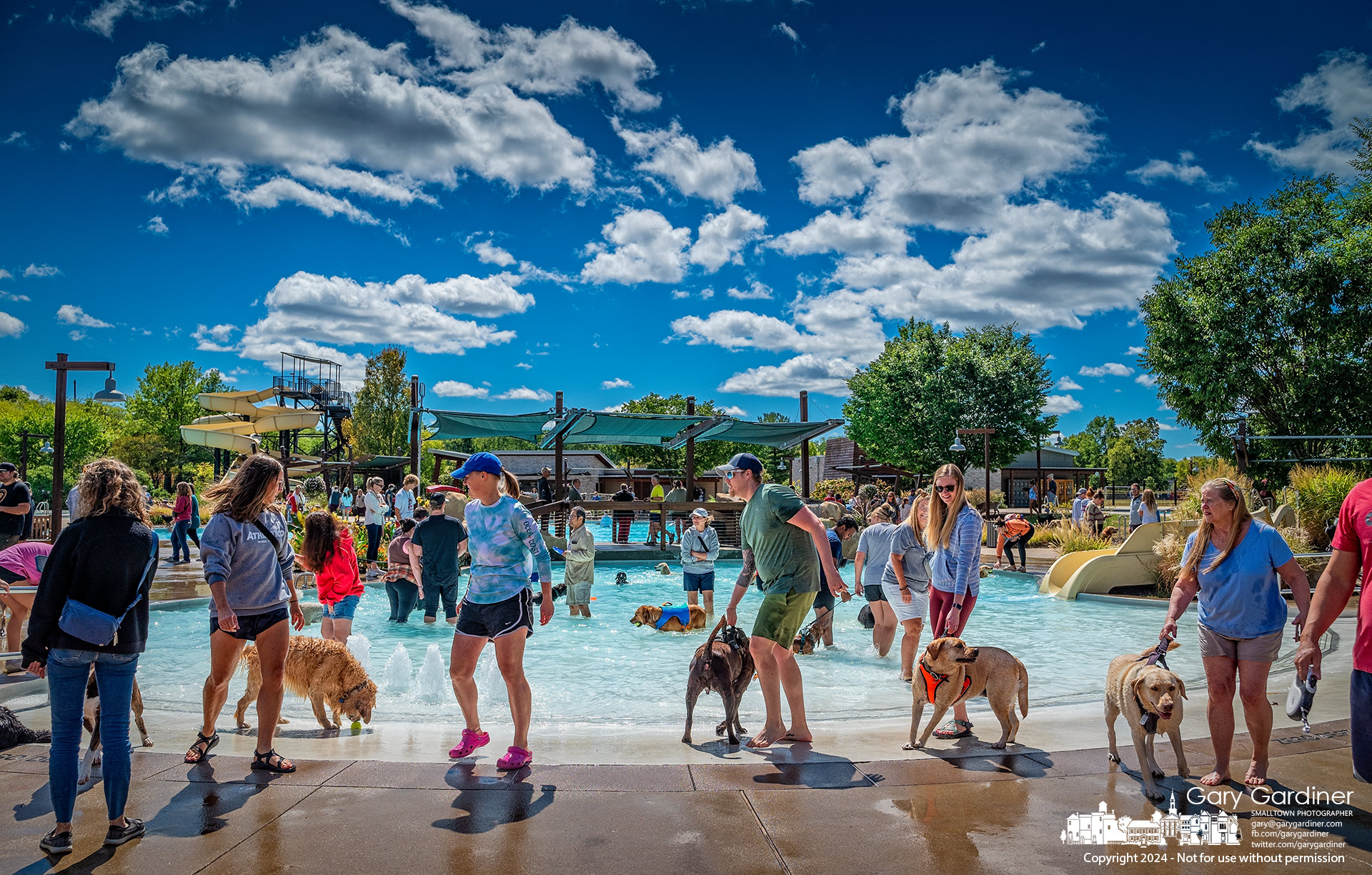 A collection of dogs and their owners delight in Doggie Paddle at Highlands Pool when the pool is opened for dogs to enjoy at the end of the summer season. My Final Photo for September 7, 2024.