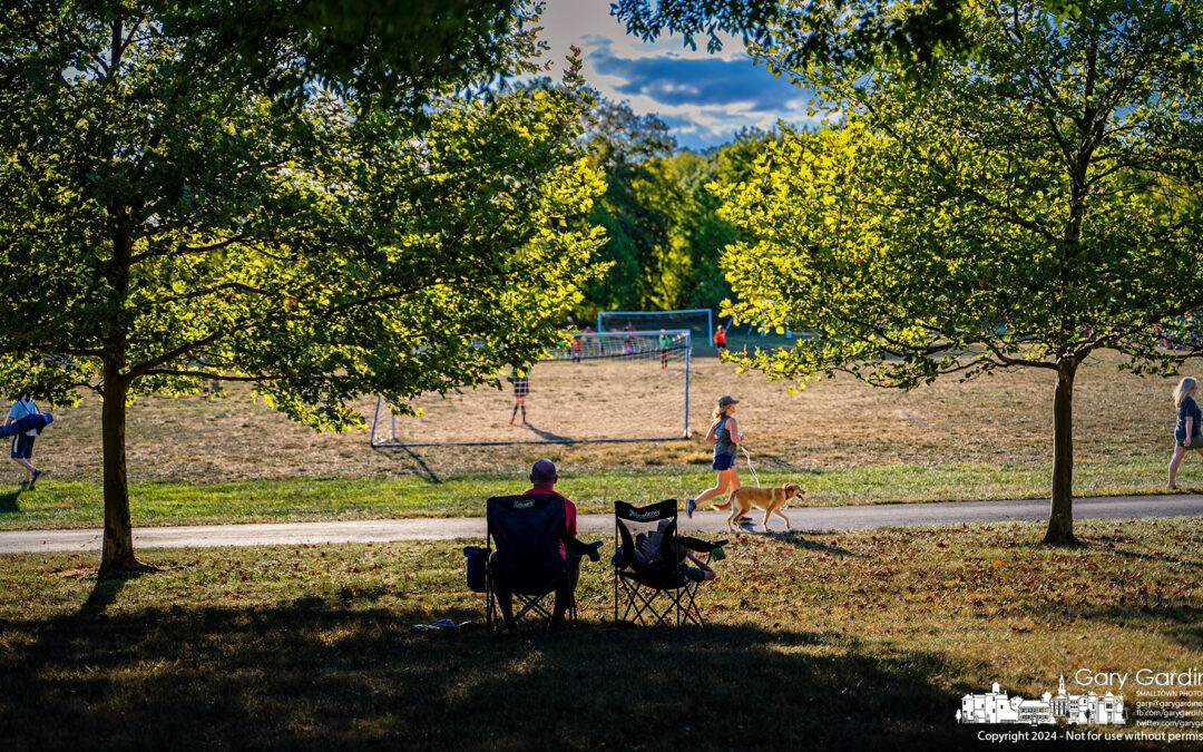 Watching Sports From The Shade