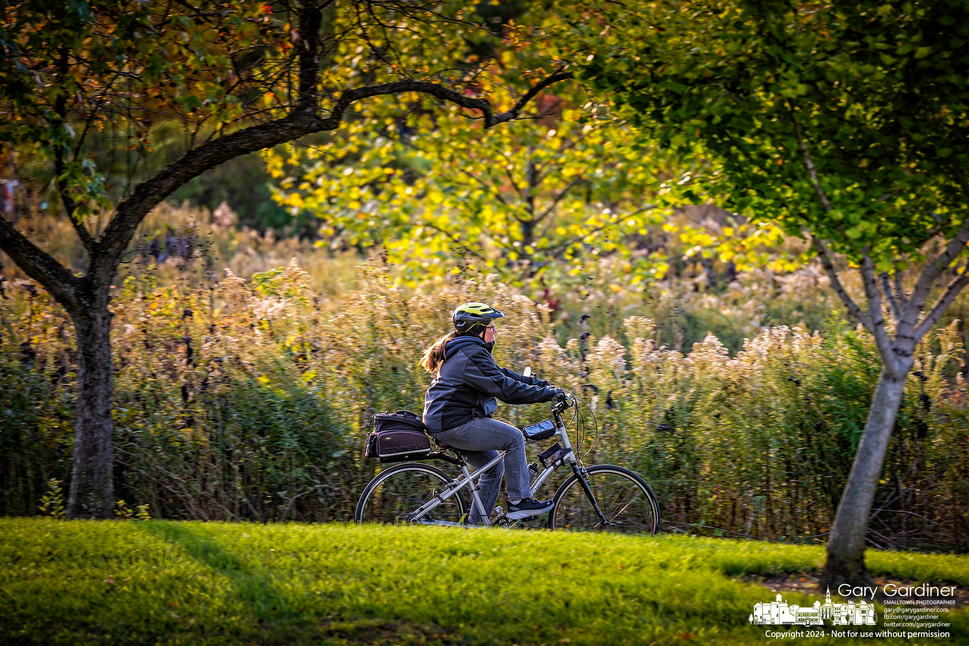 A bicyclist makes a return path along the trail at the Highlands wetland, where she traversed the paved path in both directions during her late afternoon ride. My Final Photo for October 16, 2024.