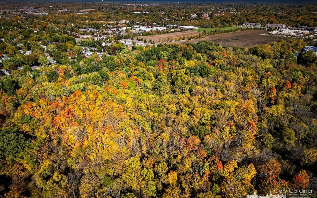 Sharon Woods Fall Colors