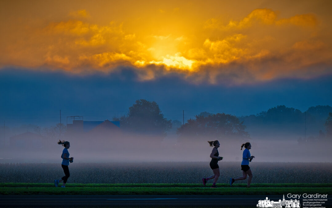 Run In Morning Mist