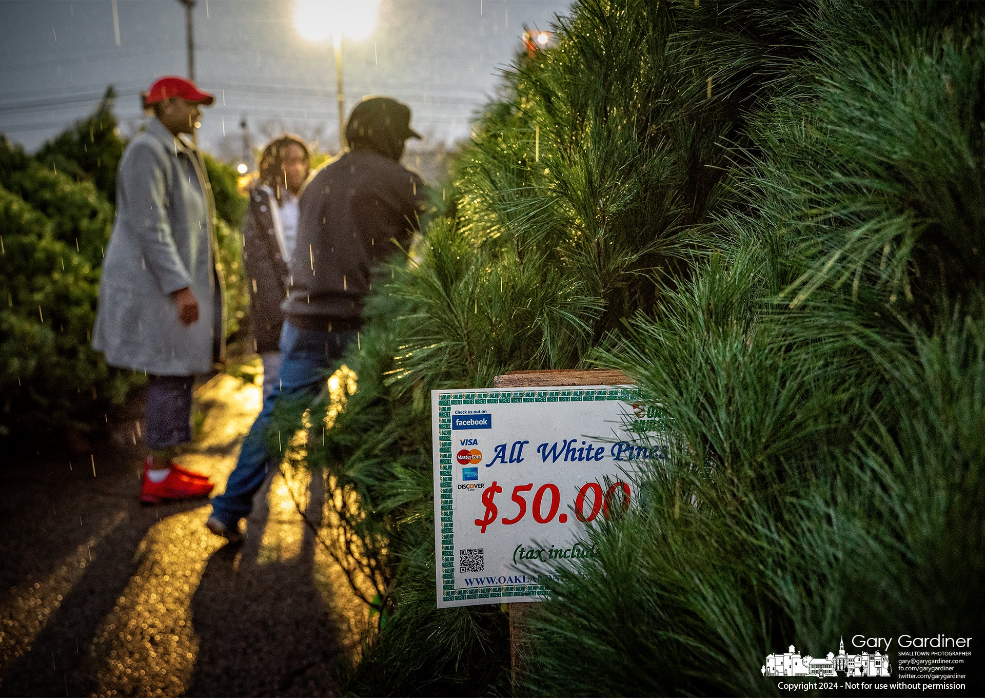 Mother and daughter search for the perfect tree in shape, size, and price to decorate for their home for Christmas from the tree lot at Glengary Shopping Center in Blendon Township. My Final Photo for November 27, 2024.