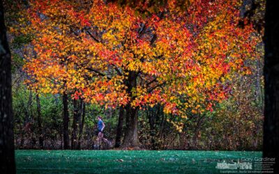 Colorful Heritage Trail