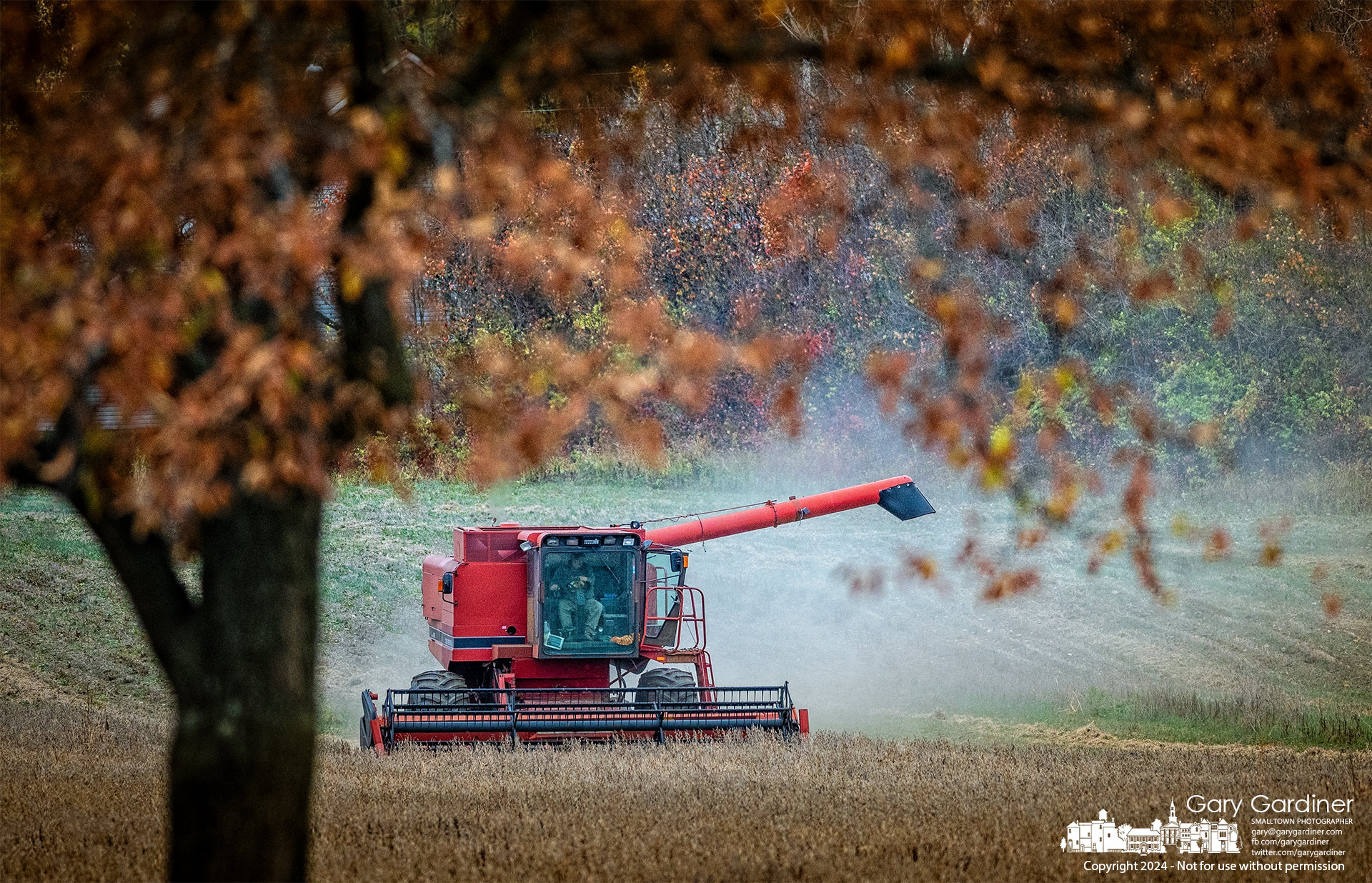 Kevin Scott runs his combine through a soybean field on the Braun Farm, collecting a smaller than normal, drought-damaged crop. My Final Photo for November 13, 2024.