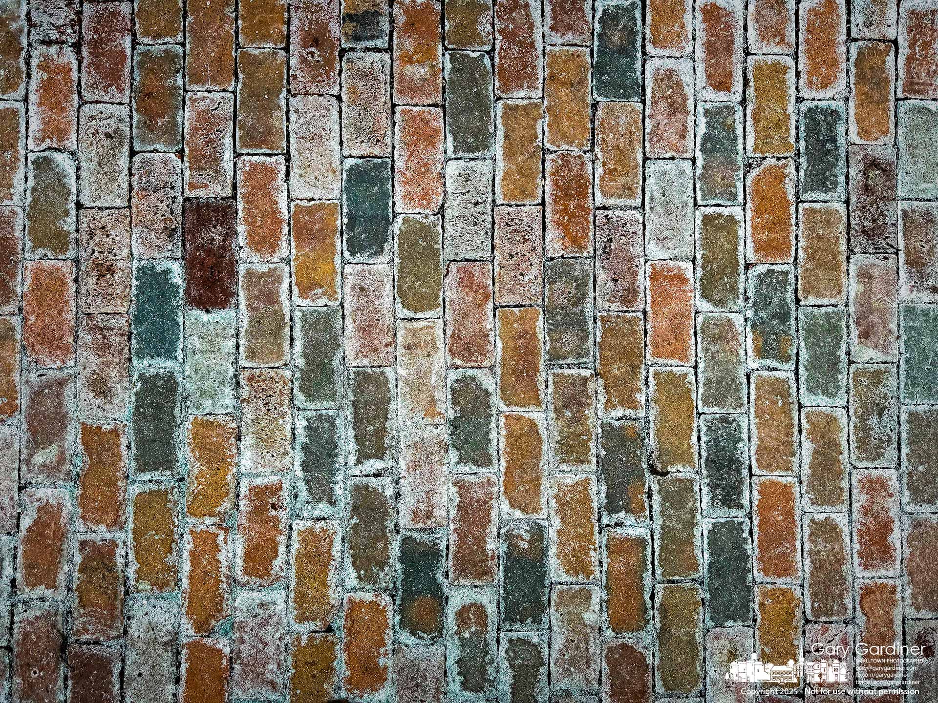 Remnants of salt from recent snowfalls leach out of the cracks between bricks in the sidewalk in Uptown Westerville. My Final Photo for January 39, 2025.