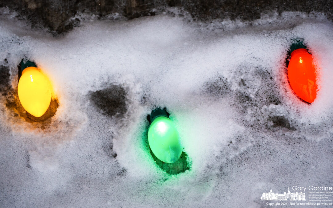 Christmas Lights Revealed In Snow