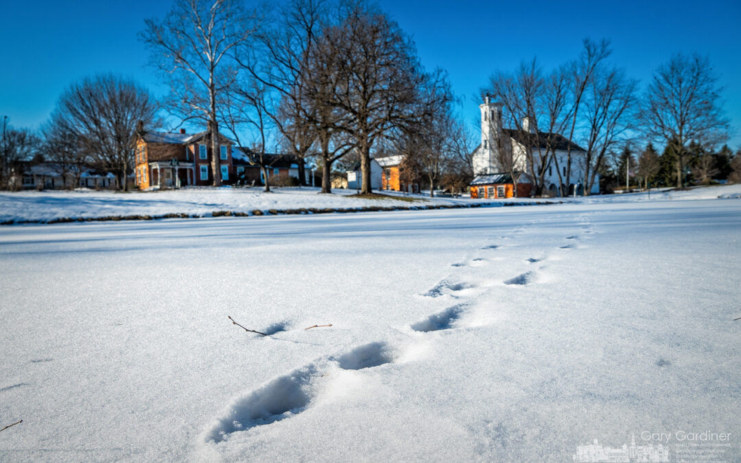 Tracks Across A Frozen Pond