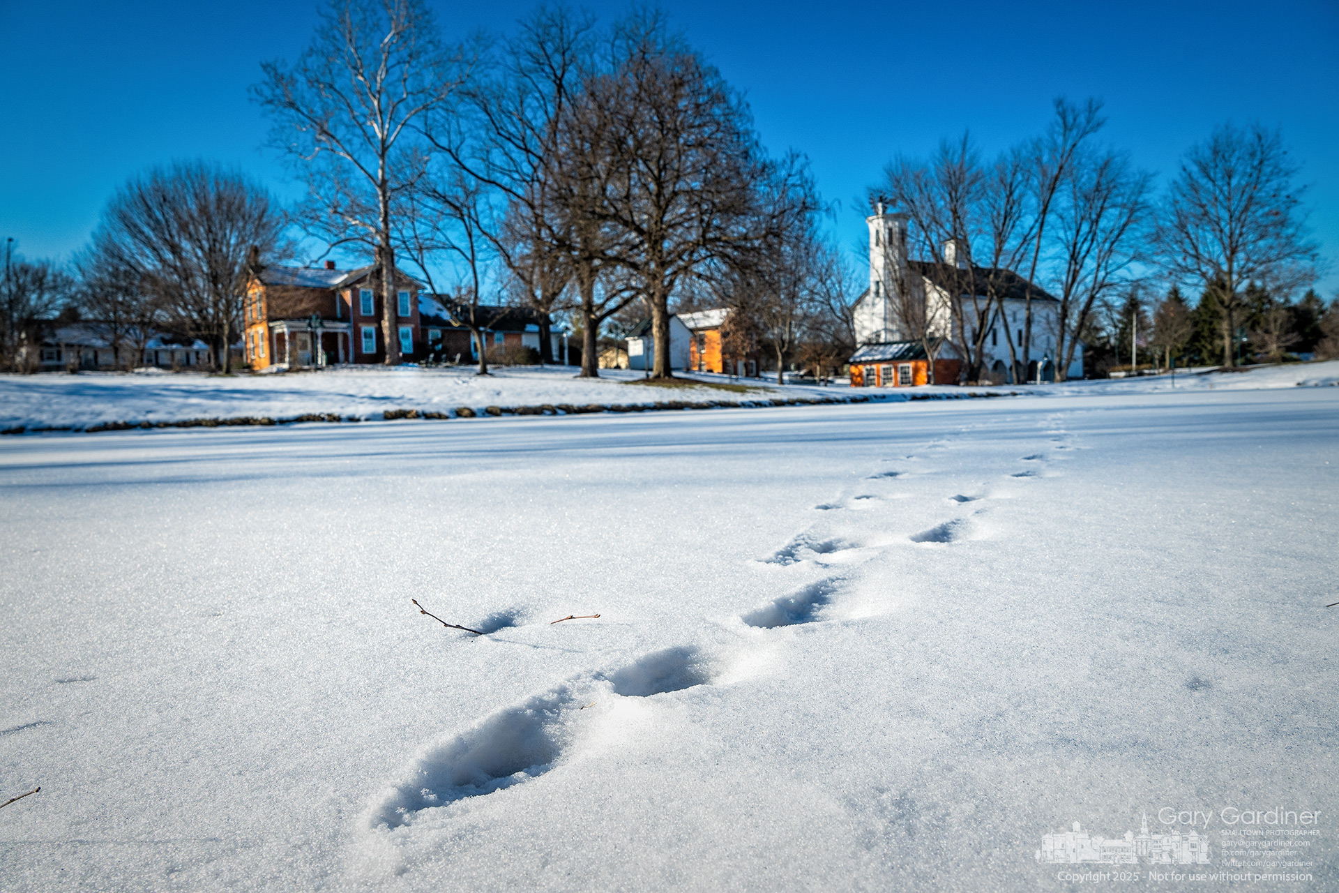 What appears to be a coyote track marks its path across the larger pond at Heritage Park after having traversed the smaller pond in its travels across frozen waters. My Final Photo for January 17, 2025.