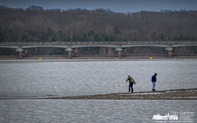 Frozen Lake Rock Skipping