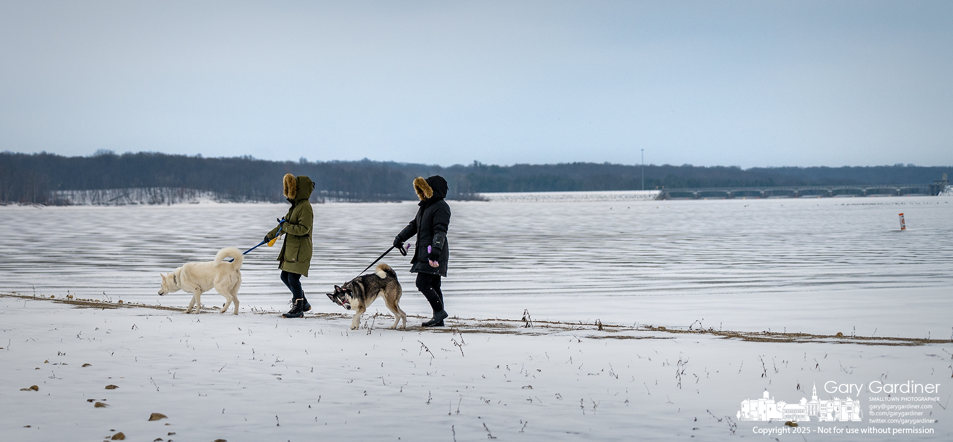 Sisters walk their dogs along the frozen shoreline of Hoover Reservoir, taking advantage of moderately cold temperatures and low wind. My Final Photo for January 16, 2025.