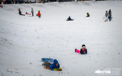 Less Risky Sledding