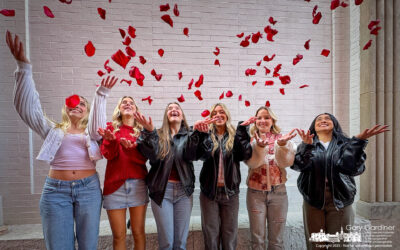 A Gift Of Rose Petals