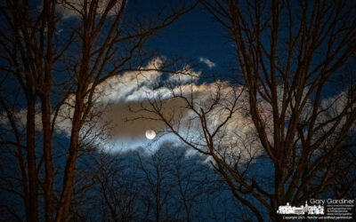 Seeing the Snow Moon