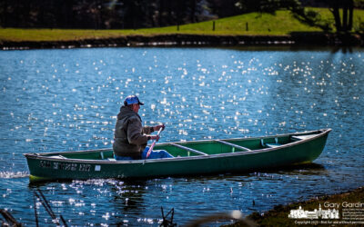 Paddling In The Pond