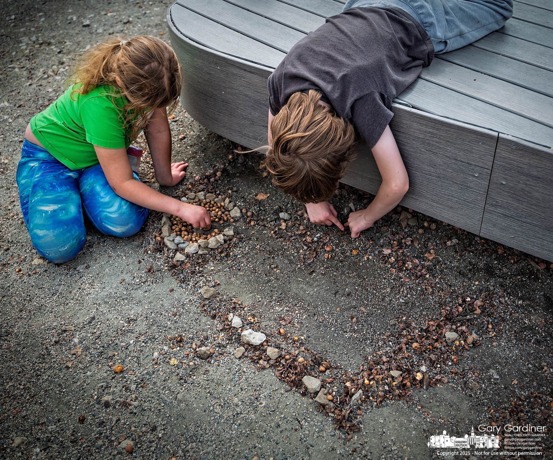 After having ice cream at Graeter's in Uptown, siblings gather twigs, rocks, and ginkgo fruit pits to build a small altar for an unnamed, unidentified creature born from their imagination. My Final Photo for March 19, 2025.