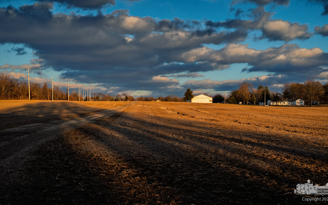 Farm Shadows Sunset