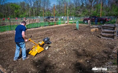 Community Gardening Begins