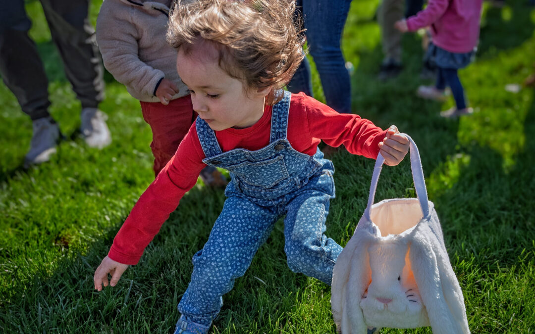 Determined Egg Hunt