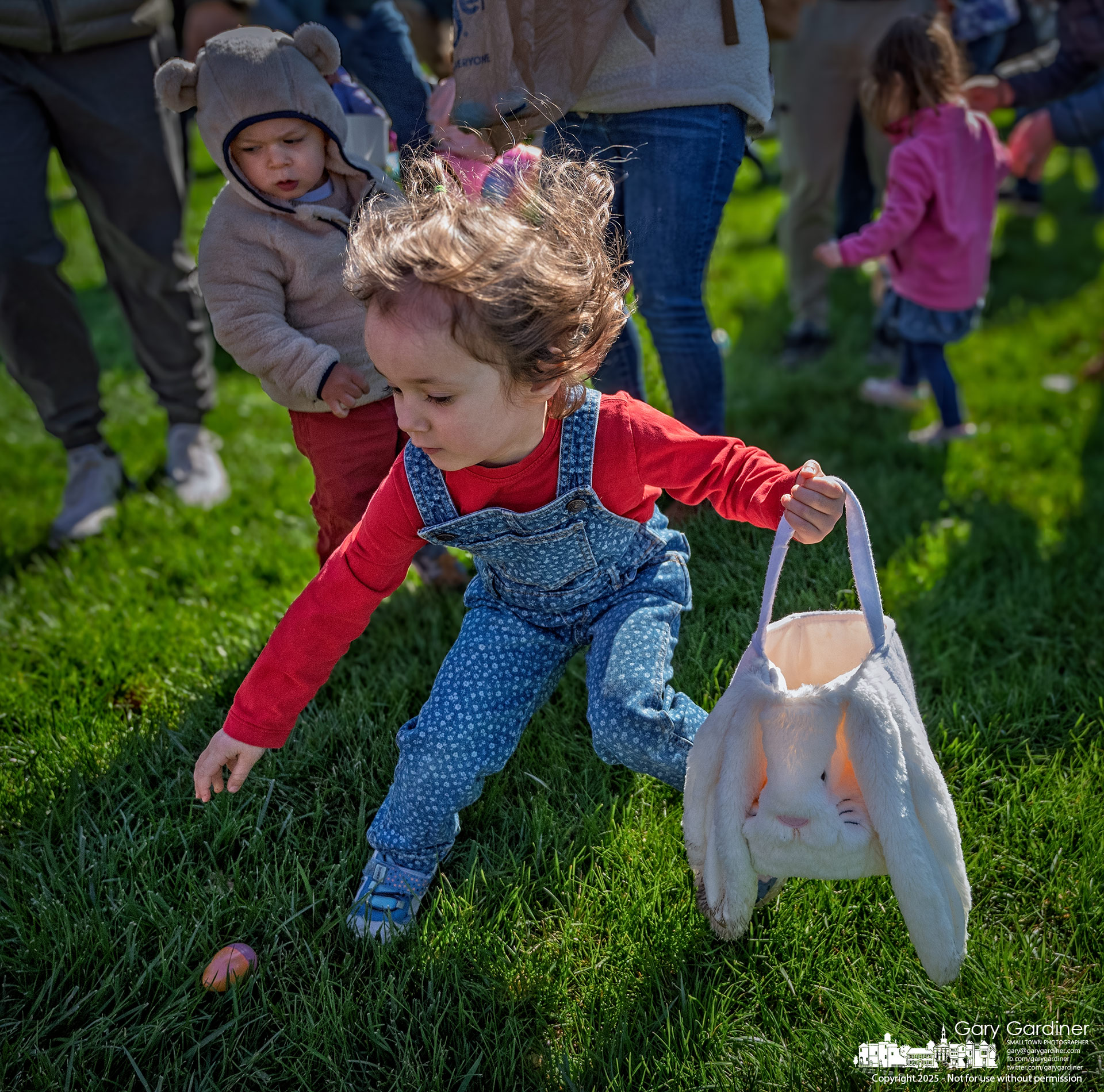A young girl reaches for an egg, her Easter bunny-shaped basket swinging at her side, during Saturday morning’s Eggstravaganza hunt at Hoff Woods Park. My Final Photo for April 12, 2025.