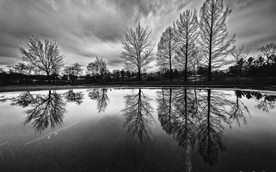 Highlands Wetlands Mirrored Parking Lot