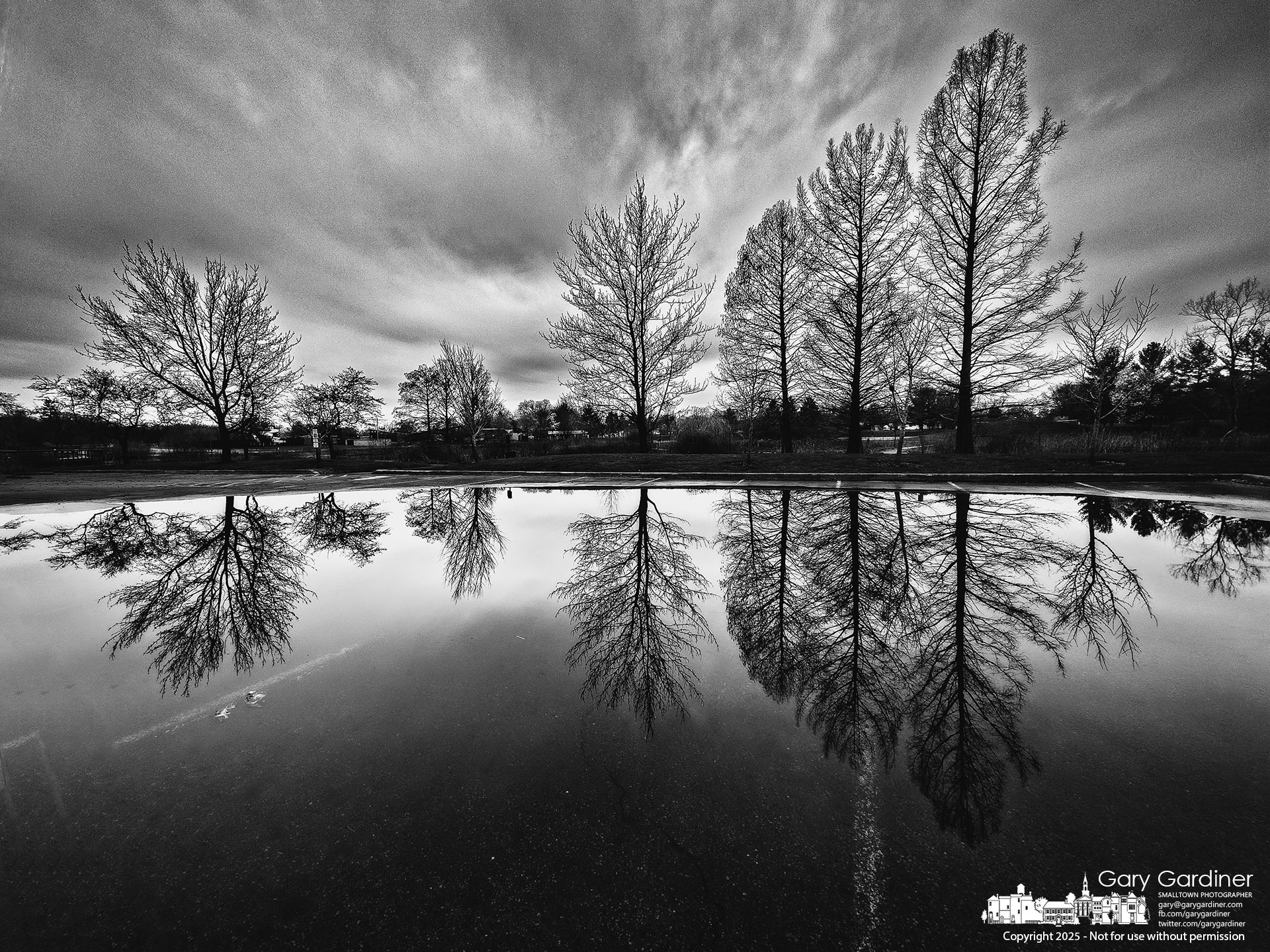 Bare trees reflect in the flooded parking lot at Highlands Park Wetlands, creating a striking mirror image on a calm, overcast day. My Final Photo for April 4, 2025.