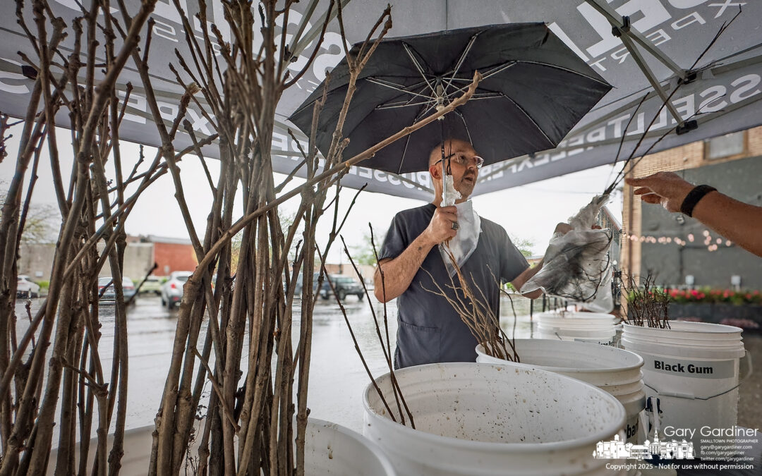 A Bag Of Free Trees