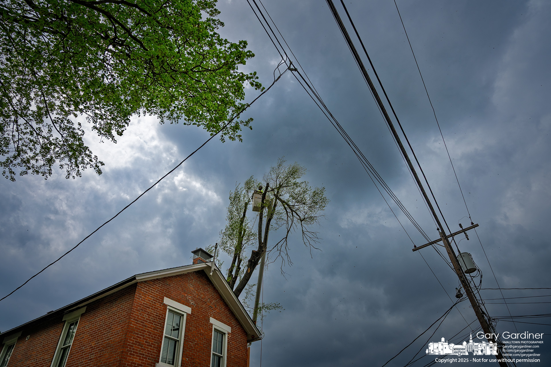A tree service removes the last of three mature trees from a property on East Main Street after recent storms caused falling limbs to damage the house. My Final Photo for April 29, 2025.