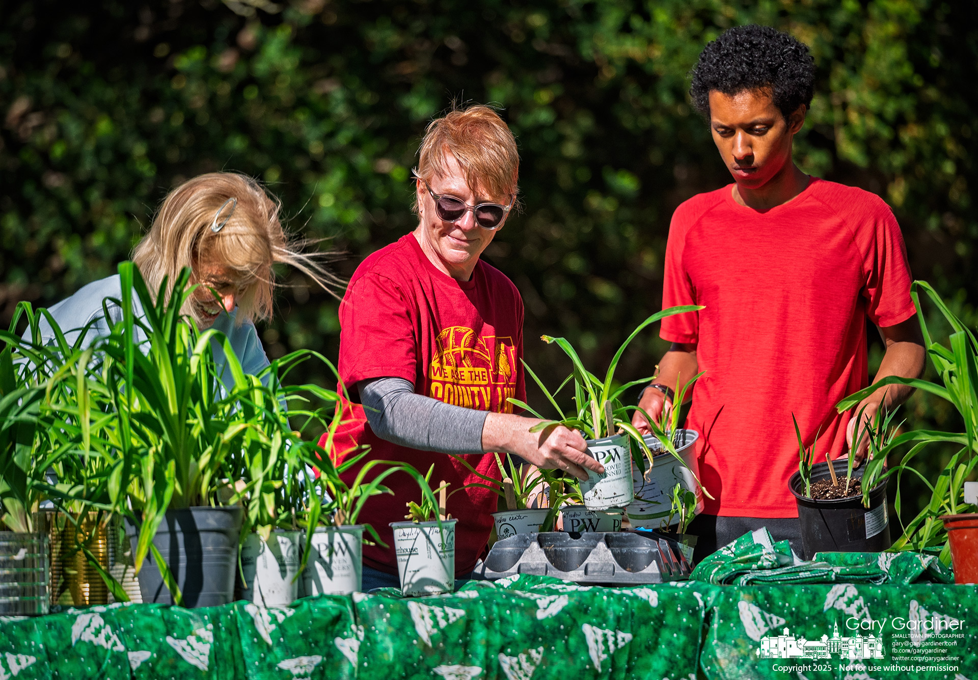 Westerville Garden Club volunteers sort and arrange plants and flowers for the club’s sale on Saturday at The Masonic Hall in Uptown Westerville. My Final Photo for May 9, 2025.