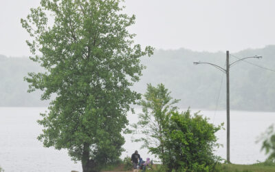 Fishing in the Rain