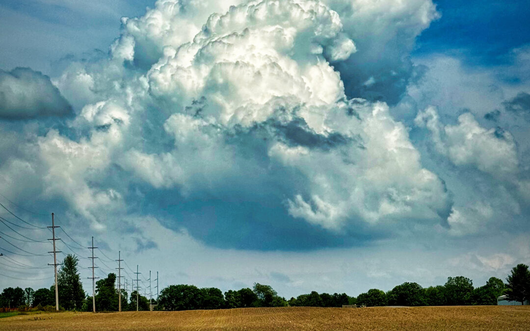Soybean Seed Cloud