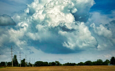 Soybean Seed Cloud