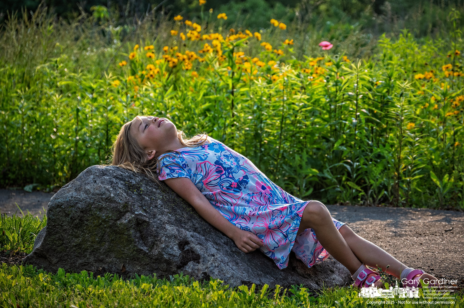 A young girl relaxes on a rock after helping care for a neighbor’s dog during a family walk at Highland Wetlands. My Final Photo for June 10, 2025.