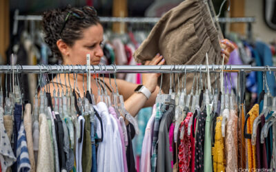 Bargain Shorts