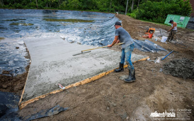 Paving Into The Pond