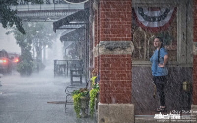 Any Portico In A Storm