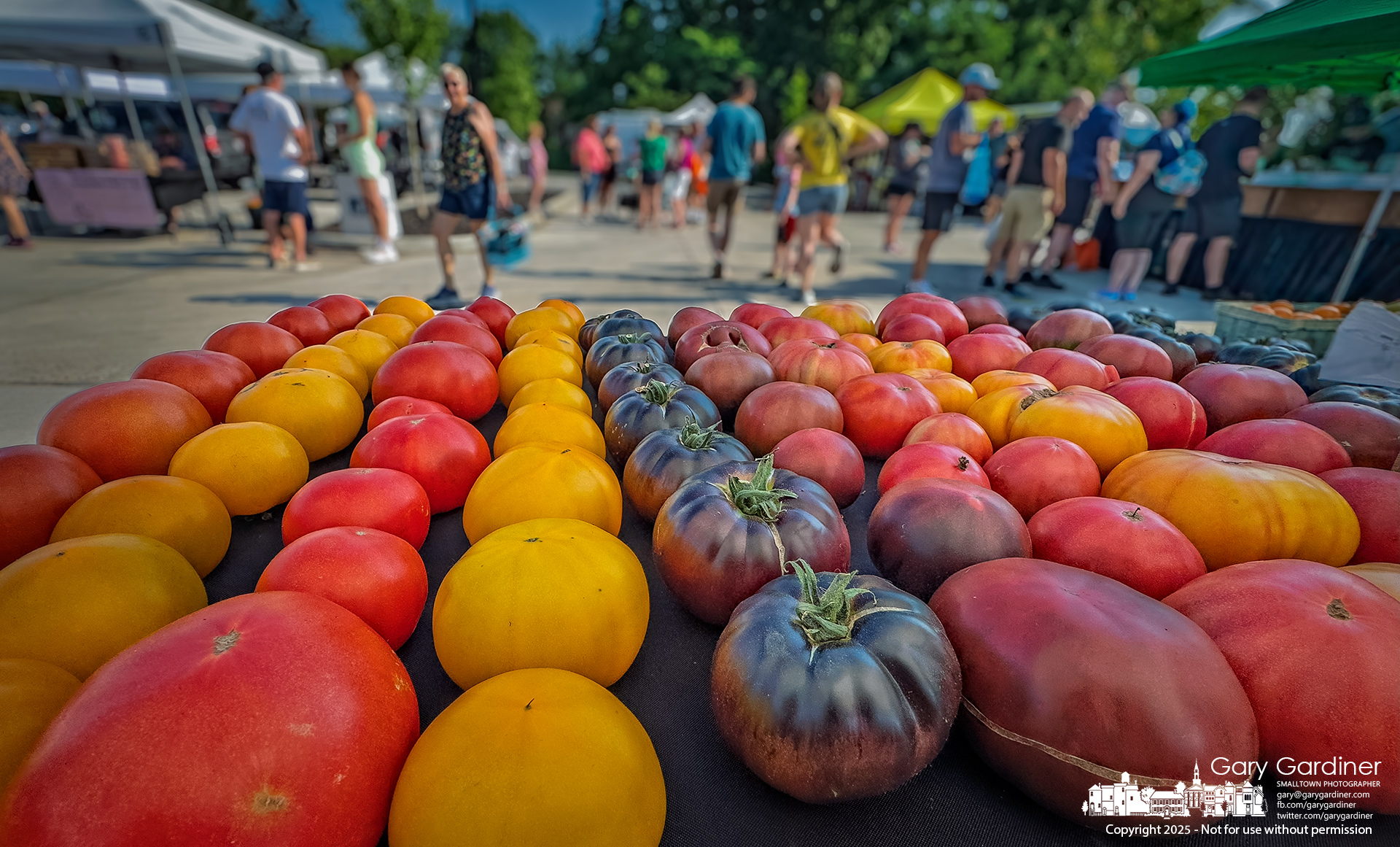Rows of heirloom and hybrid tomatoes are arranged in rows at a farmer’s table at the Saturday Market in Westerville. My Final Photo for July 5, 2025.