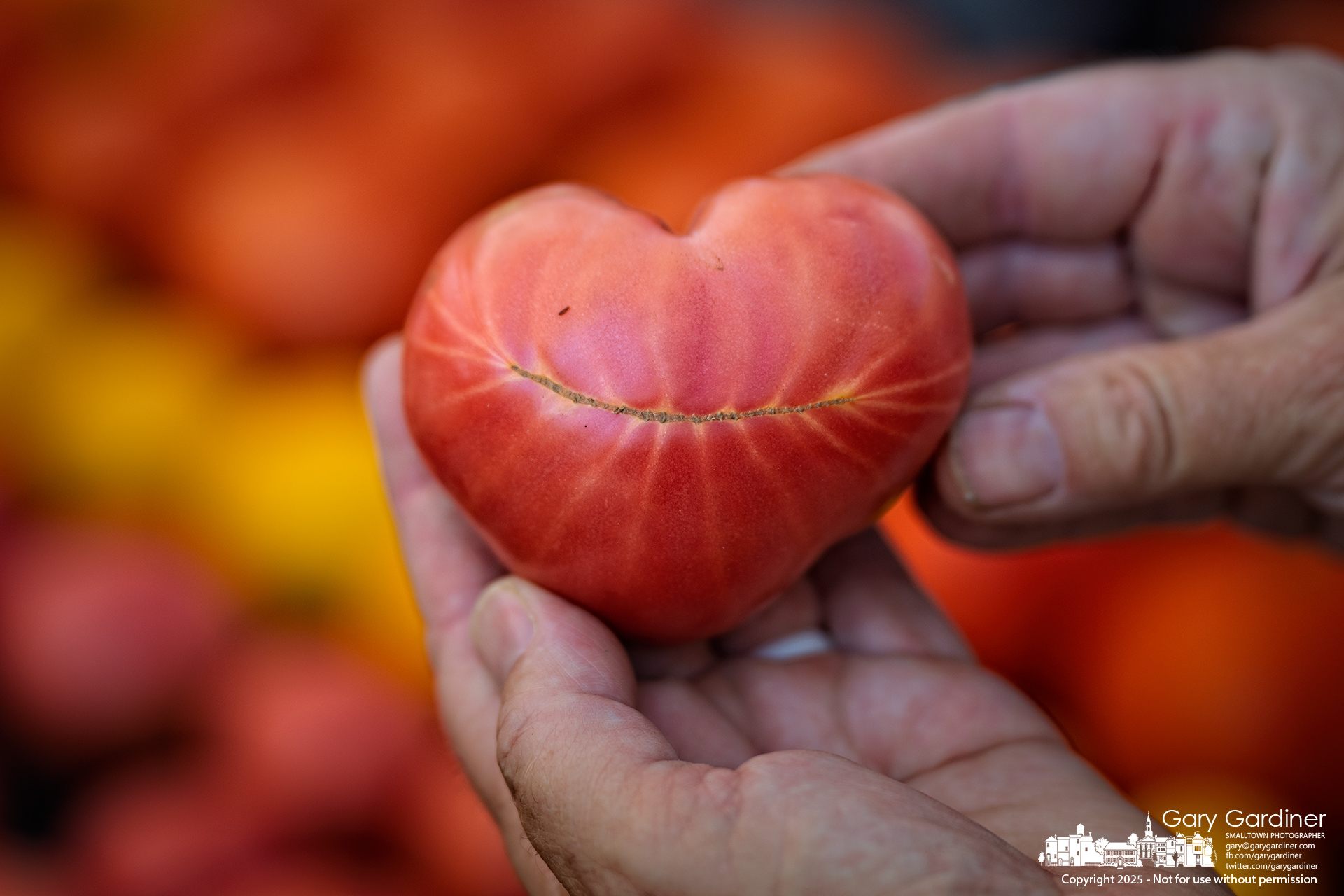 A smiling, heart-shaped tomato greets a shopper at the High Point Produce Farm’s table at the Saturday Market in Westerville. My Final Photo for August 16, 2025.