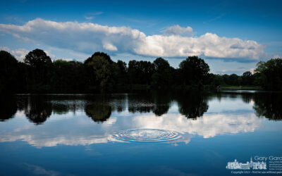 Schrock Lake Ripples