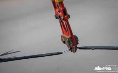 Cutting The Cable