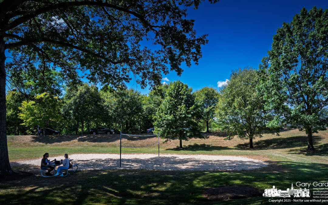 In The Shade For Lunch
