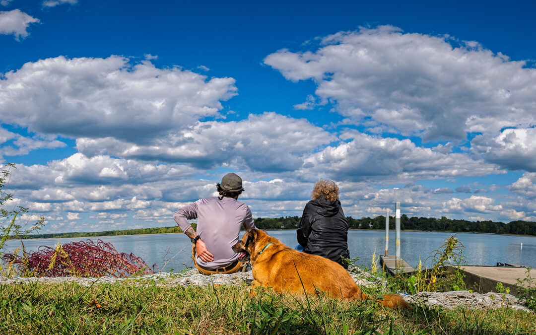 Dog And Family Day Afternoon