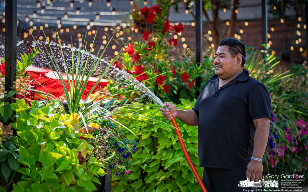 Keeping The Patio Perky
