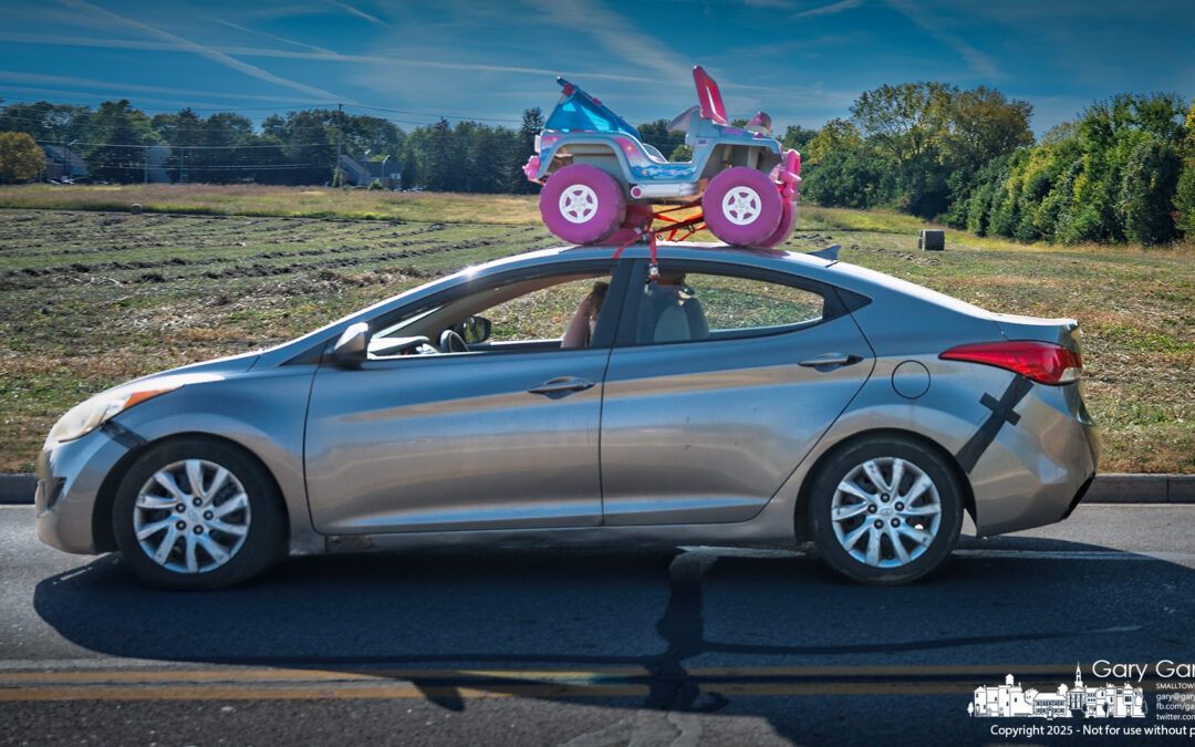 Backup Transportation