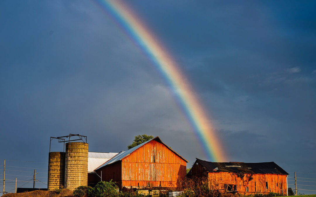 Rainbow’s Arc Over Africa